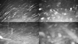 Sdružený snímek okolí chaty Myslivna