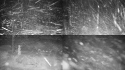 Sdružený snímek okolí chaty Myslivna