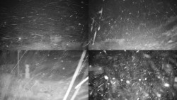 Sdružený snímek okolí chaty Myslivna