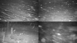 Sdružený snímek okolí chaty Myslivna