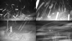 Sdružený snímek okolí chaty Myslivna