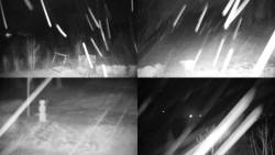 Sdružený snímek okolí chaty Myslivna