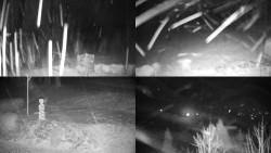 Sdružený snímek okolí chaty Myslivna