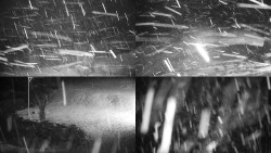 Sdružený snímek okolí chaty Myslivna