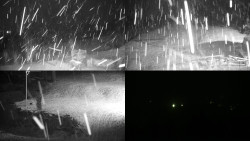 Sdružený snímek okolí chaty Myslivna