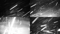 Sdružený snímek okolí chaty Myslivna