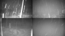 Sdružený snímek okolí chaty Myslivna