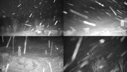 Sdružený snímek okolí chaty Myslivna