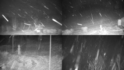 Sdružený snímek okolí chaty Myslivna