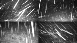 Sdružený snímek okolí chaty Myslivna