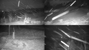 Chata Myslivna SKP Olomouc - Sdružený snímek okolí chaty Myslivna - 2.1.2026 v 03:31 Chata Myslivna SKP Olomouc - Sdružený snímek okolí chaty Myslivna - 2.1.2026 v 03:31