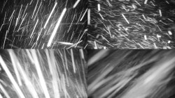 Sdružený snímek okolí chaty Myslivna