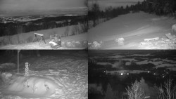 Sdružený snímek okolí chaty Myslivna