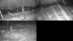 Sdružený snímek okolí chaty Myslivna