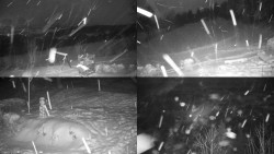 Sdružený snímek okolí chaty Myslivna