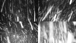 Sdružený snímek okolí chaty Myslivna