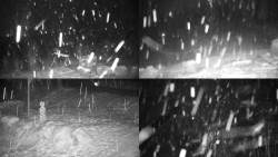 Sdružený snímek okolí chaty Myslivna