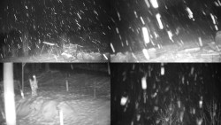 Sdružený snímek okolí chaty Myslivna