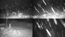 Sdružený snímek okolí chaty Myslivna