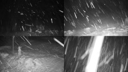 Sdružený snímek okolí chaty Myslivna