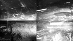 Sdružený snímek okolí chaty Myslivna