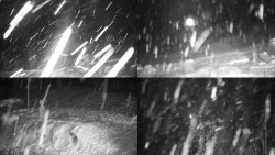 Sdružený snímek okolí chaty Myslivna