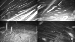 Sdružený snímek okolí chaty Myslivna