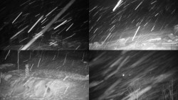 Sdružený snímek okolí chaty Myslivna