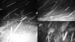 Sdružený snímek okolí chaty Myslivna