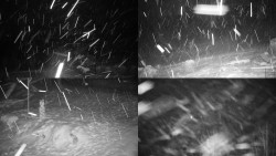 Sdružený snímek okolí chaty Myslivna