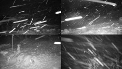 Sdružený snímek okolí chaty Myslivna