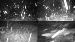 Sdružený snímek okolí chaty Myslivna