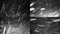 Sdružený snímek okolí chaty Myslivna