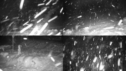 Sdružený snímek okolí chaty Myslivna