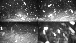 Sdružený snímek okolí chaty Myslivna