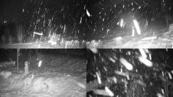 Sdružený snímek okolí chaty Myslivna