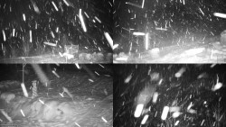 Sdružený snímek okolí chaty Myslivna