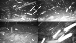 Sdružený snímek okolí chaty Myslivna