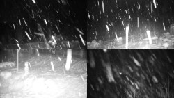 Sdružený snímek okolí chaty Myslivna