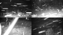 Sdružený snímek okolí chaty Myslivna