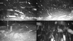 Sdružený snímek okolí chaty Myslivna