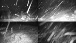 Sdružený snímek okolí chaty Myslivna