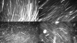 Sdružený snímek okolí chaty Myslivna