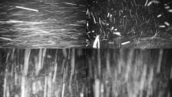 Sdružený snímek okolí chaty Myslivna