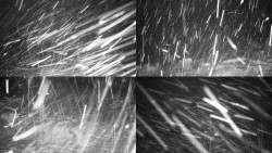 Sdružený snímek okolí chaty Myslivna