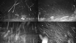 Sdružený snímek okolí chaty Myslivna