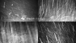 Sdružený snímek okolí chaty Myslivna