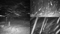 Sdružený snímek okolí chaty Myslivna