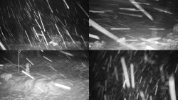 Sdružený snímek okolí chaty Myslivna