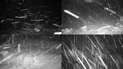 Sdružený snímek okolí chaty Myslivna